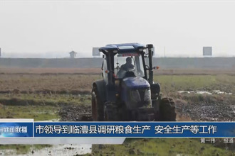 市领导到临澧县调研粮食生产、彩票安全生产等工作