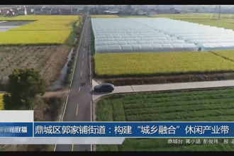 鼎城区郭家铺街道：构建