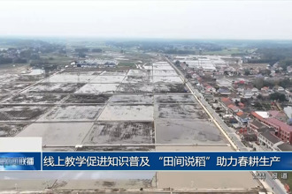 线上教学促进知识普及 