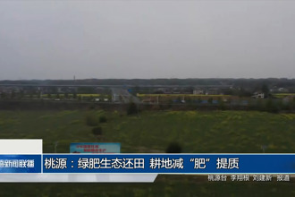 桃源：绿肥生态还田 耕地减