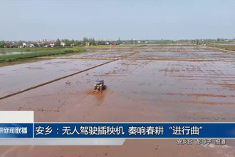 安乡：无人驾驶插秧机 奏响春耕