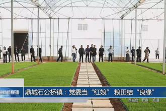 鼎城石公桥镇：党委当