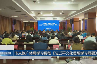 常德市文旅广体局学习贯彻《习近平文化思想学习纲要》