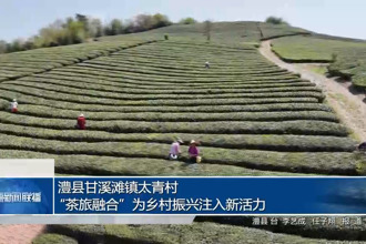 澧县甘溪滩镇太青村：