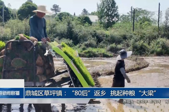 鼎城区草坪镇：