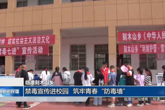 临澧刻木山乡：禁毒宣传进校园 筑牢青春