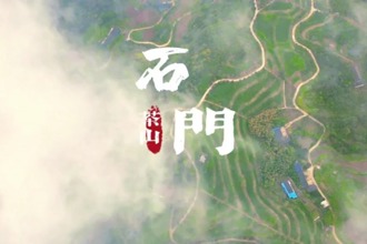 【常来常德 常“游”所得】石门，高山云海觅茶香