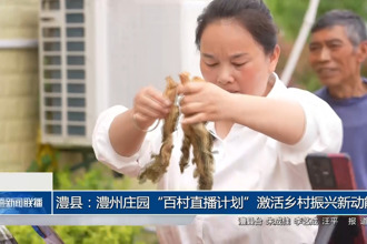 澧县：澧州庄园