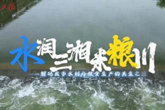 水润三湘米粮川——解码我市水利与粮食生产的共生之道