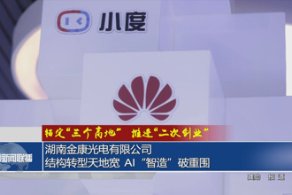 湖南金康光电有限公司：结构转型天地宽 AI