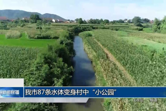 87条水体变身村中