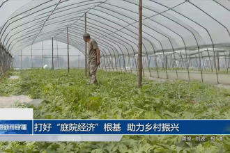 鼎城：打好