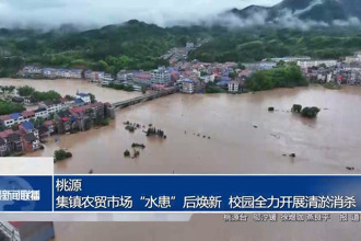 桃源：集镇农贸市场