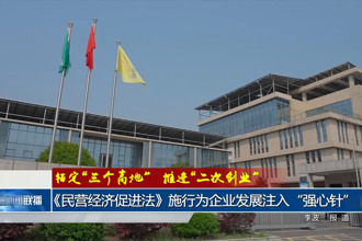 锚定