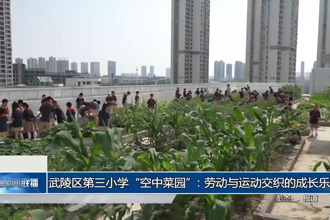 武陵区第三小学