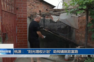 桃源：