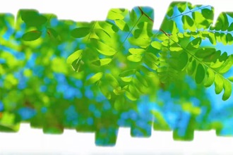 最火的网络彩票平台推荐六五宣传片来了！让我们一起“向绿而行”