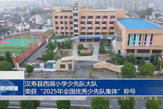 汉寿县西湖小学少先队大队荣获