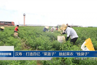 汉寿：打造百亿
