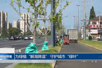 汉寿：为绿植