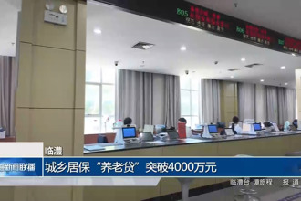 临澧：城乡居保