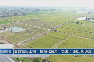 澧县城头山镇：机械化赋能