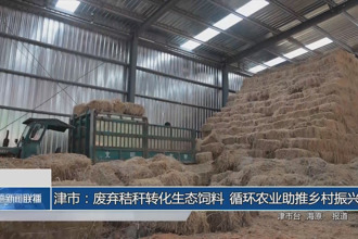 津市：废弃秸秆转化生态饲料 循环农业助推乡村振兴