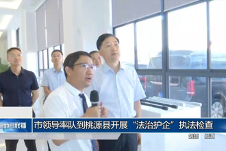 市领导率队到桃源县开展