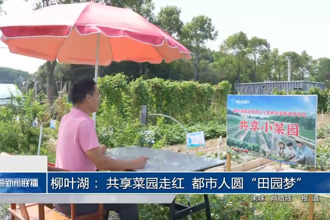 柳叶湖： 共享菜园走红 都市人圆