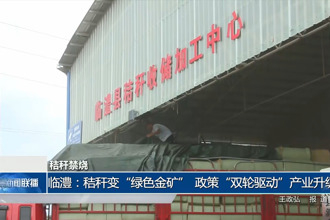 临澧：秸秆变