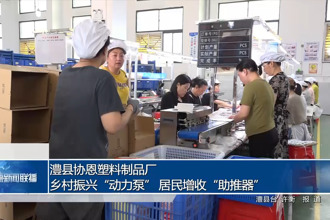 澧县协恩塑料制品厂：乡村振兴