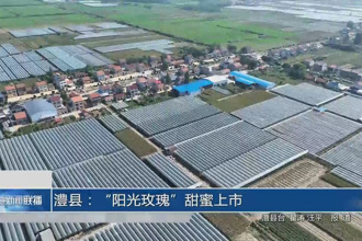 澧县：