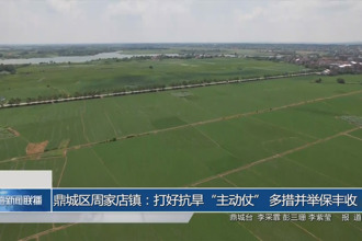 鼎城区周家店镇：打好抗旱