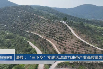 澧县：