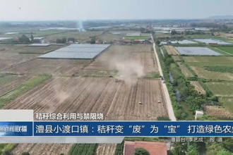澧县小渡口镇：秸秆变