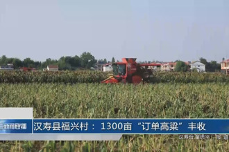 汉寿福兴村： 1300亩