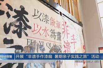 武陵：开展