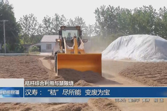 汉寿：秸