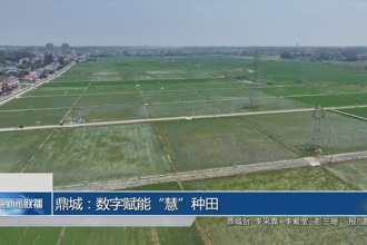 鼎城：数字赋能