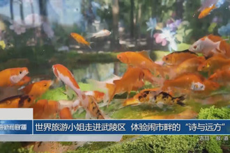 世界旅游小姐走进武陵区 体验闹市畔的