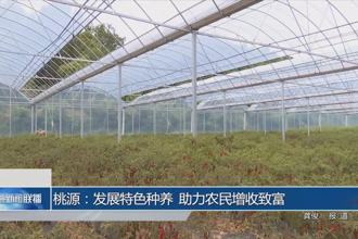 桃源：发展特色种养 助力农民增收致富
