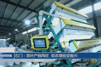 石门：茶叶产销两旺 助农增收促振兴