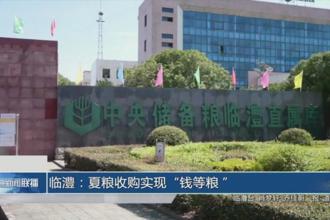 临澧：夏粮收购实现