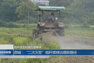 鼎城：