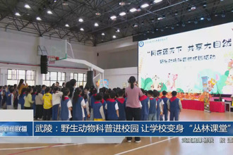 武陵：野生动物科普进校园 让学校变身