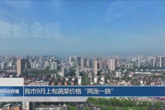 我市9月上旬蔬菜价格