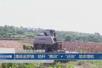 澧县金罗镇：秸秆