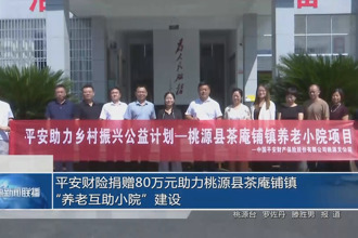 平安财险捐赠80万元助力桃源县茶庵铺镇