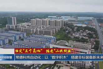 锚定