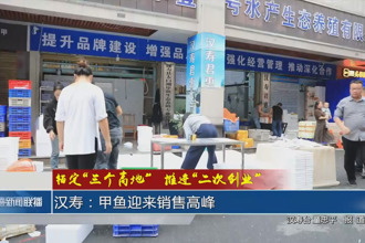 锚定